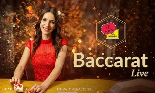 NN777 Live Casino